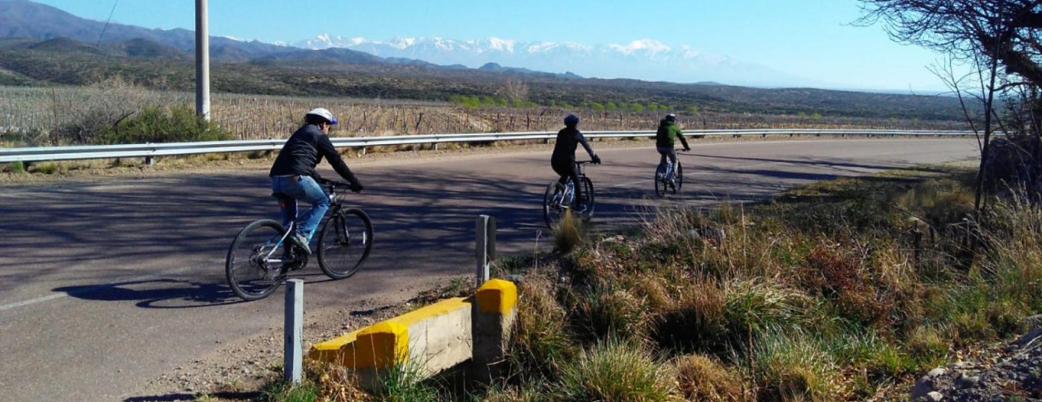 Bike e Vinho Vale de Uco