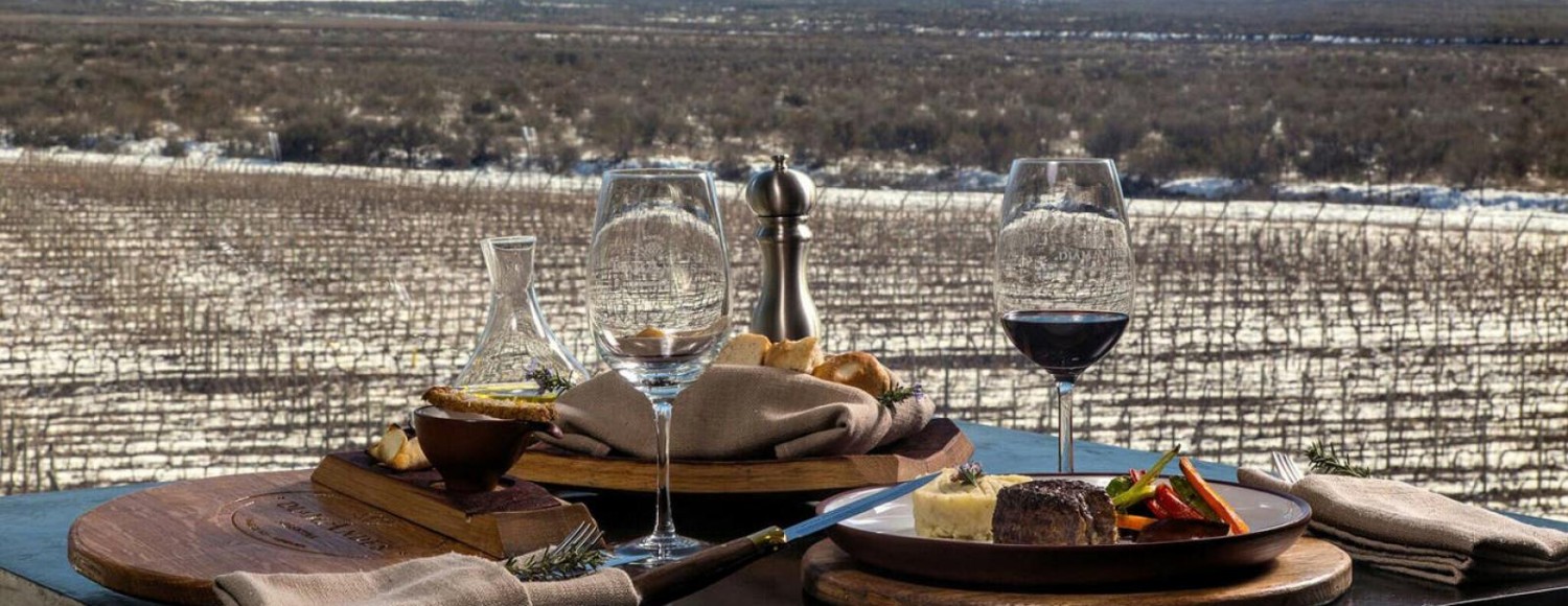 Bike e Vinho Vale de Uco