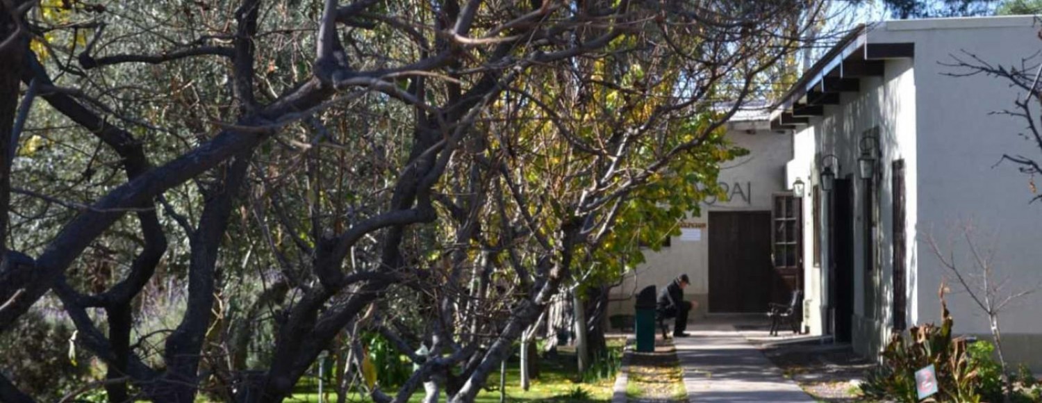 Chandon, Ruca Malén + Olivícola