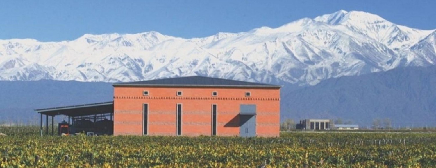 Chandon, Ruca Malén + Olivícola