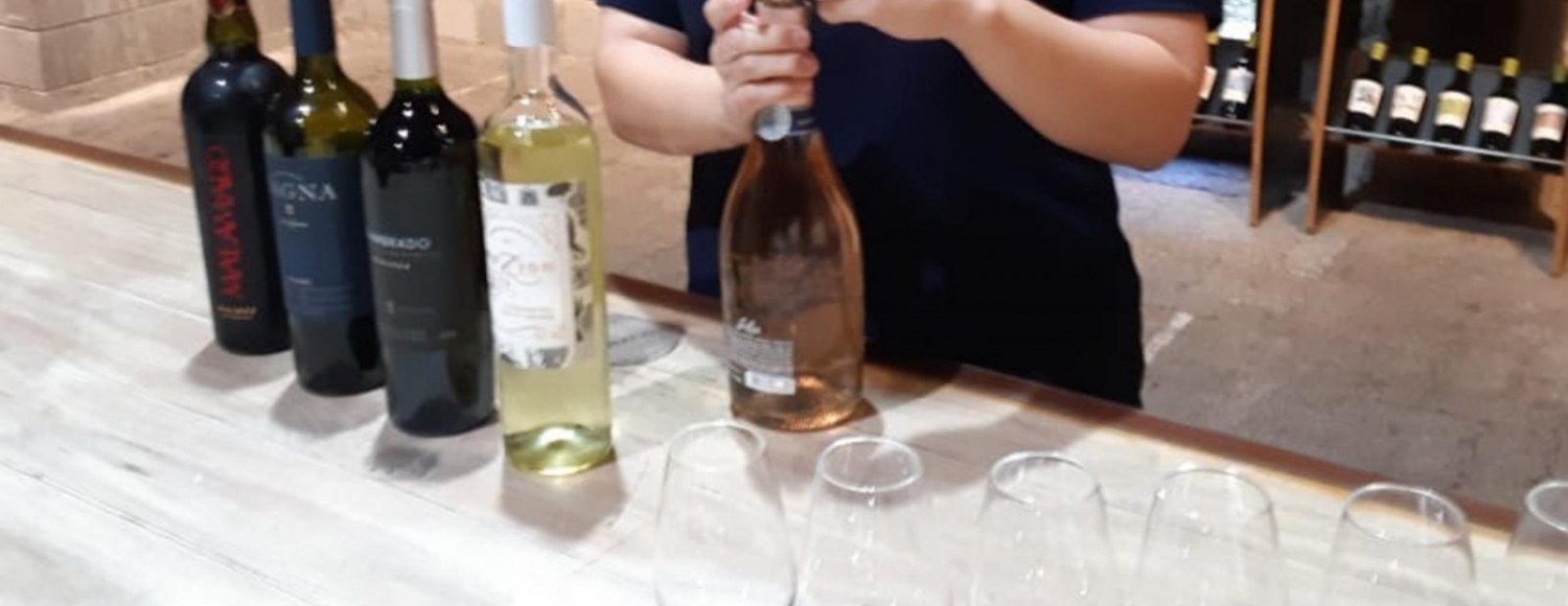 Experiência Zuccardi Santa Julia