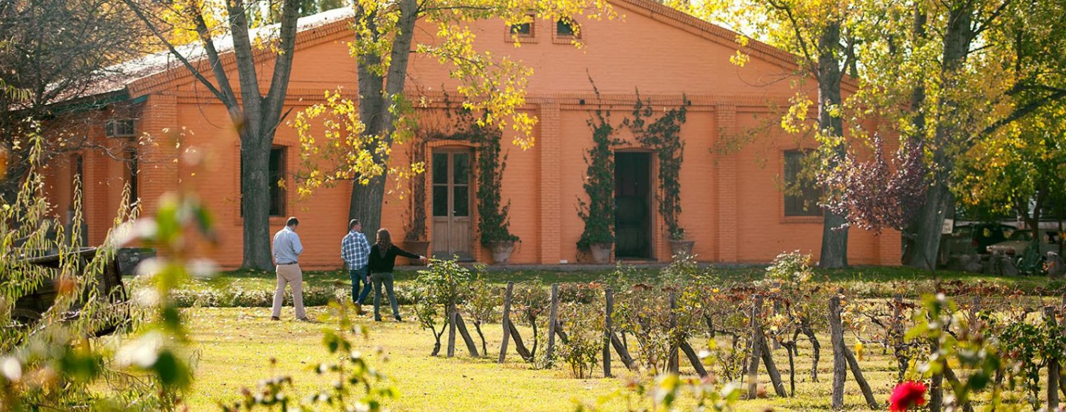 Bike e Vinho Luján de Cuyo