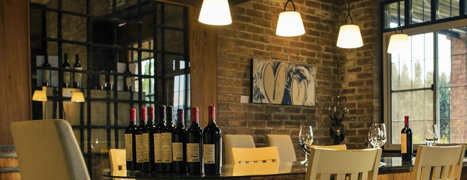 Bike e Vinho Luján de Cuyo