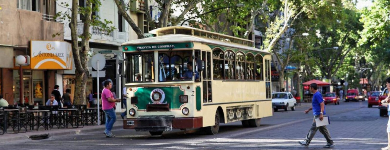 City Tour e Vinícola