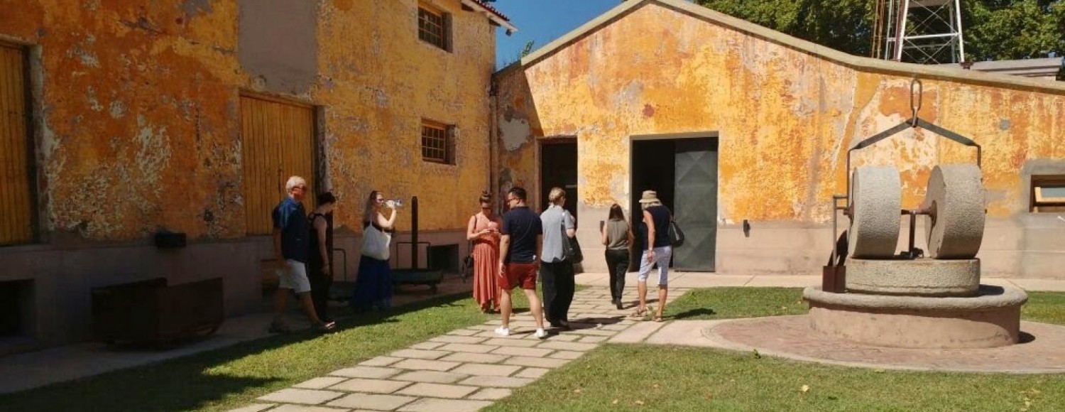 Azeite, Queijo & Vinhos