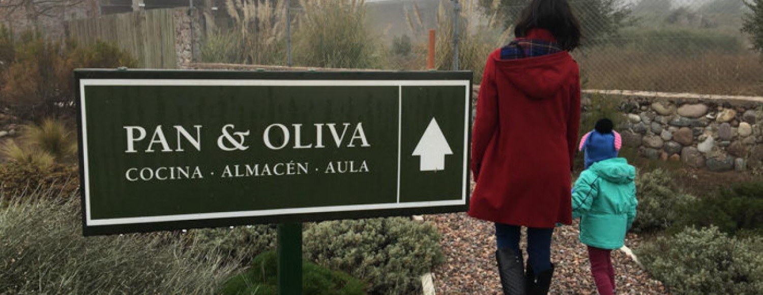 Azeite, Queijo & Vinhos