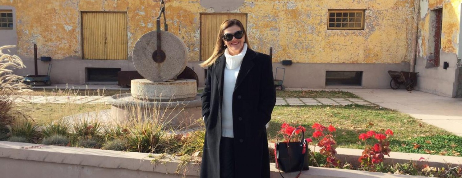 Azeite, Queijo & Vinhos