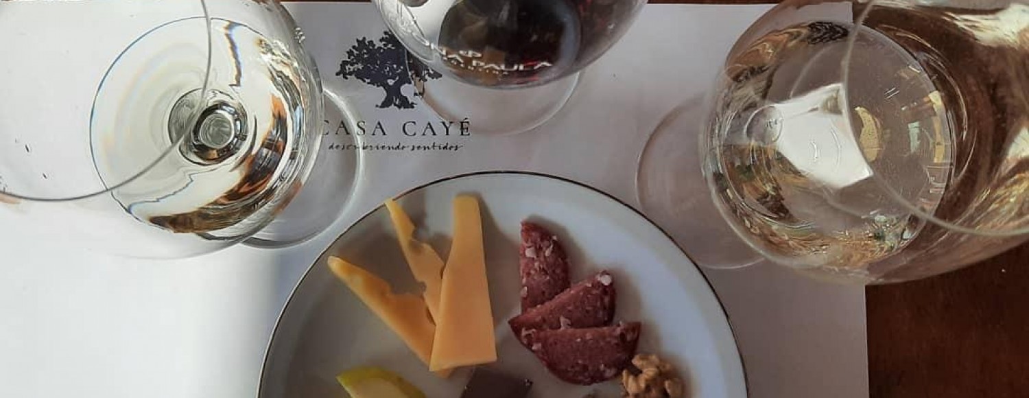 Experiência Mendoza Gourmet