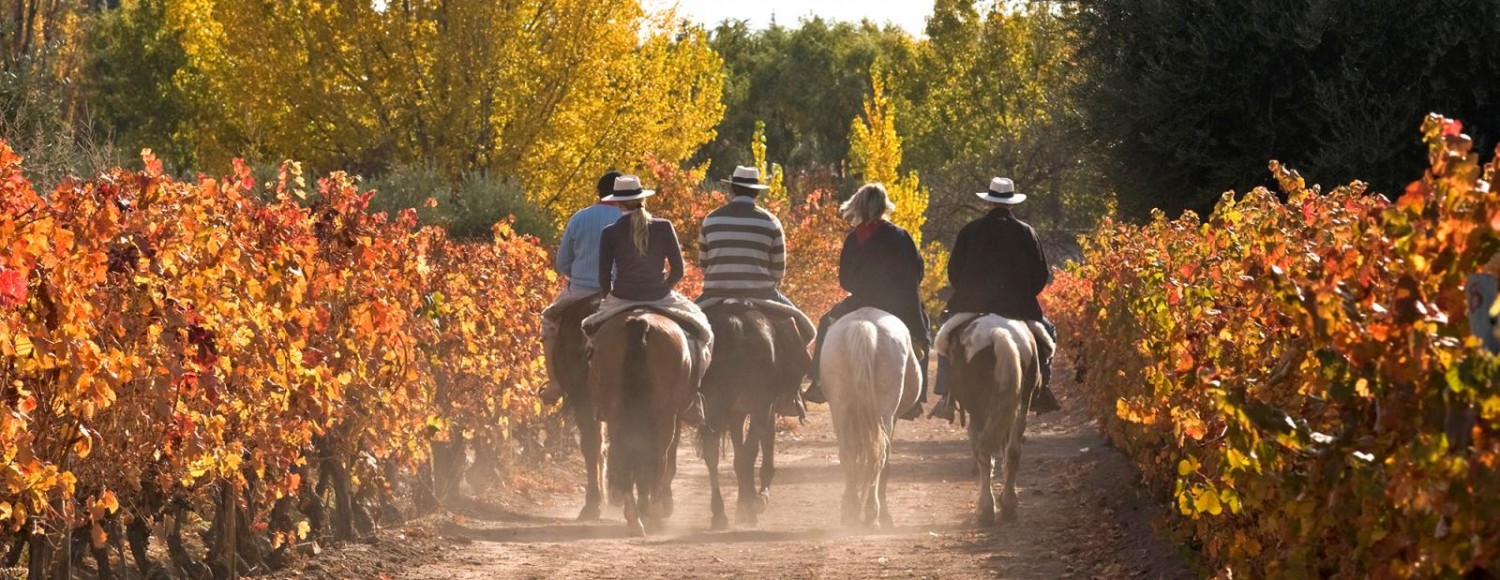 Cavalgada Pôr-do-Sol