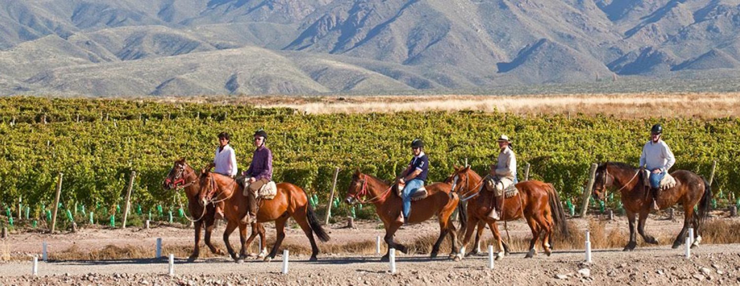 Cavalgada Pôr-do-Sol