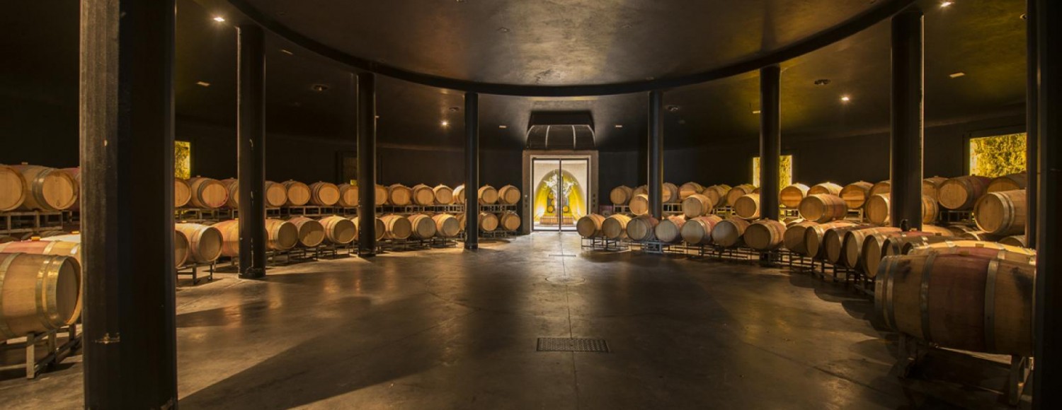 Cavalgada Pôr-do-Sol