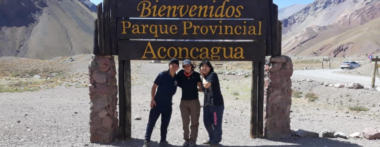 Alta Montanha Clássica