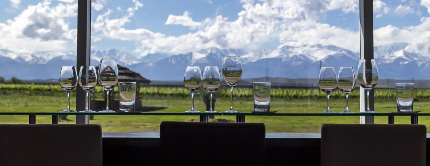 Experiência Valle de Uco