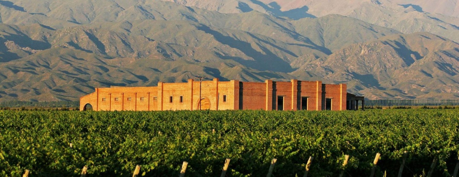 Experiência Valle de Uco