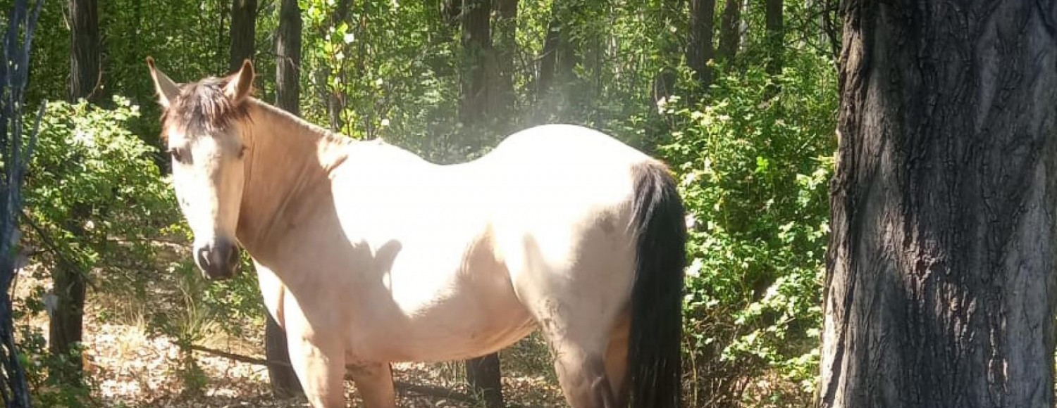 Estância Família Rosso