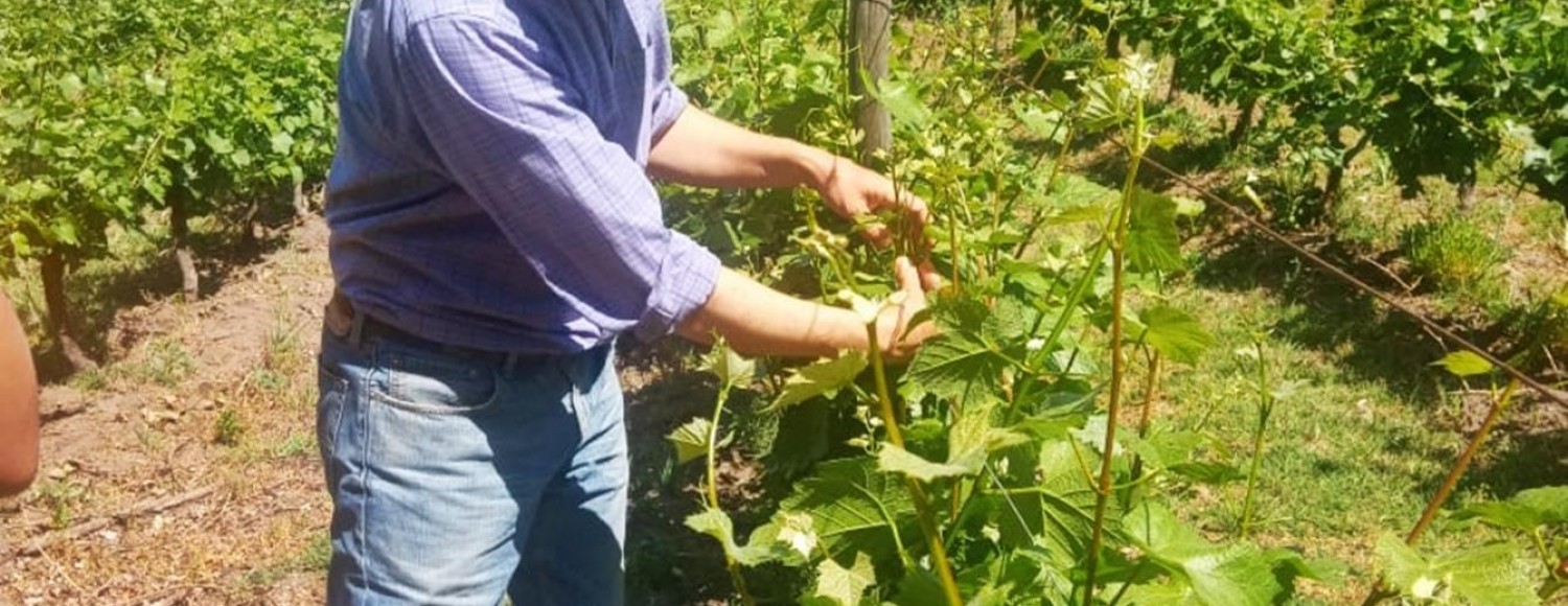 Estância Família Rosso