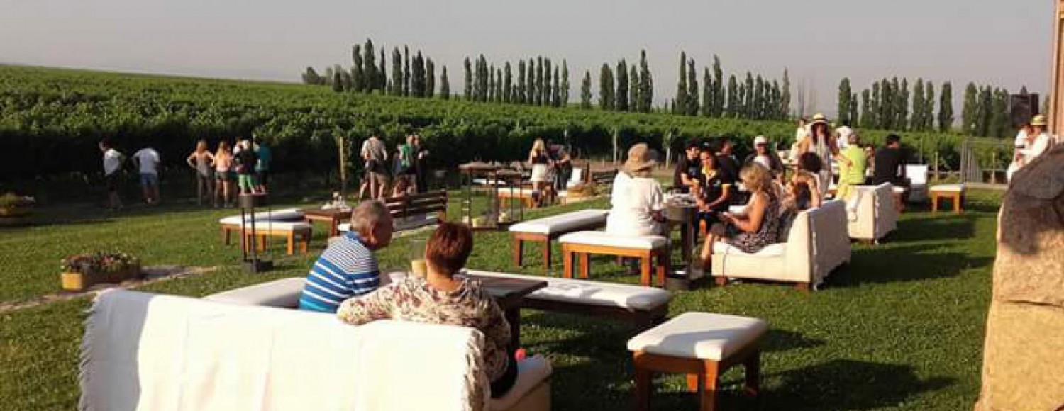 Tour de Vinhos personalizado