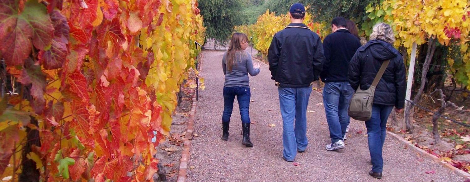 Maipú e Luján Gourmet