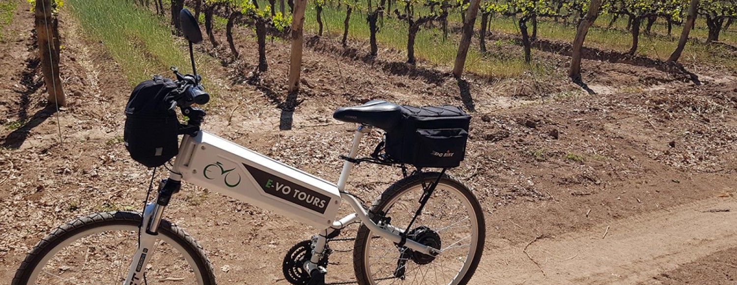 E-bike e Vinhos