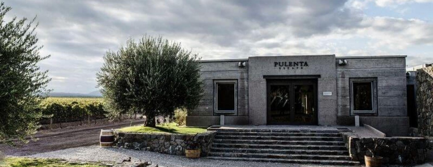 Provando os Sentidos