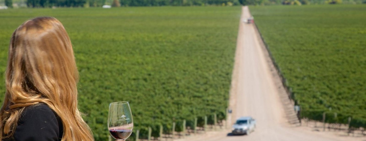 Catena Zapata & El Enemigo