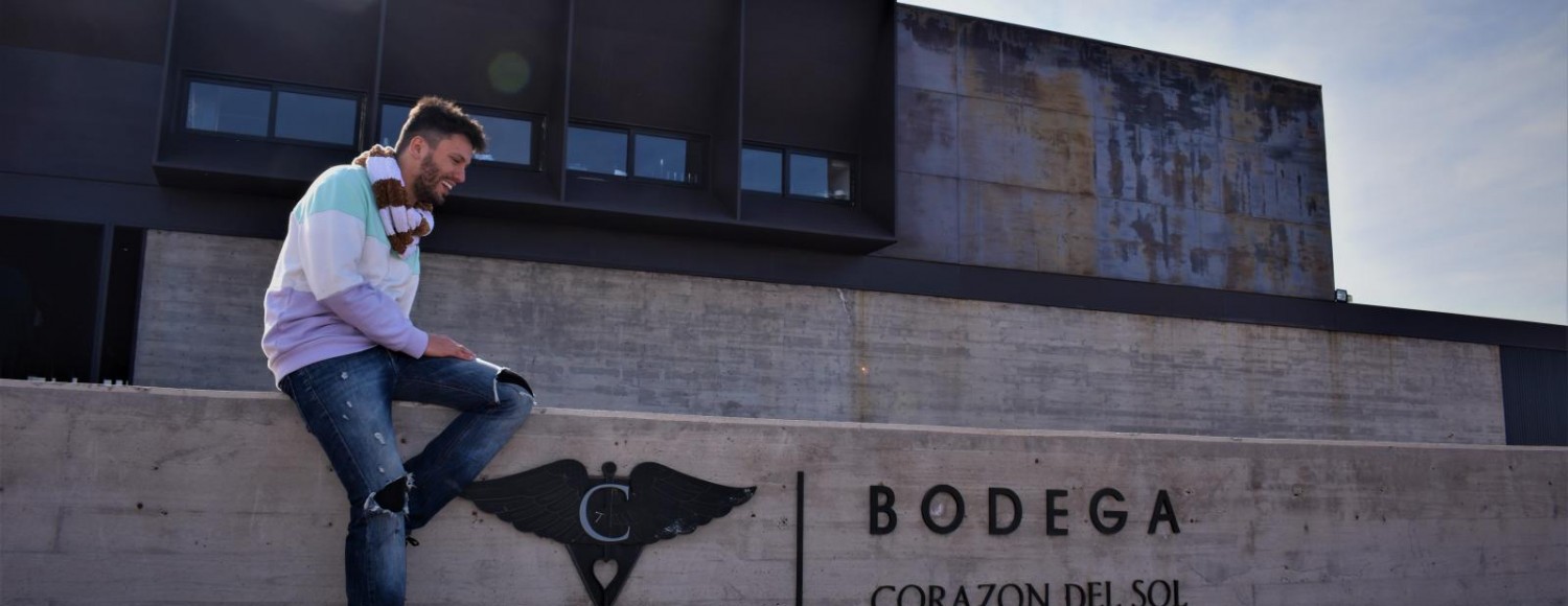 Experiência The Vines