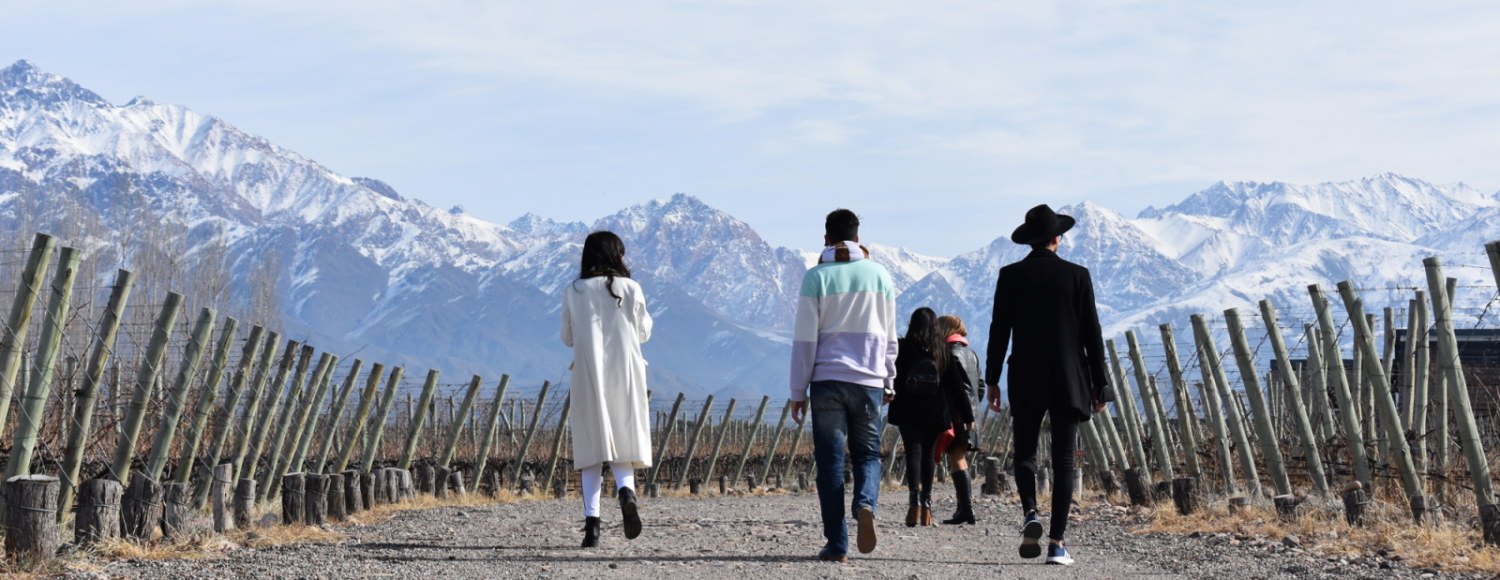 Experiência The Vines