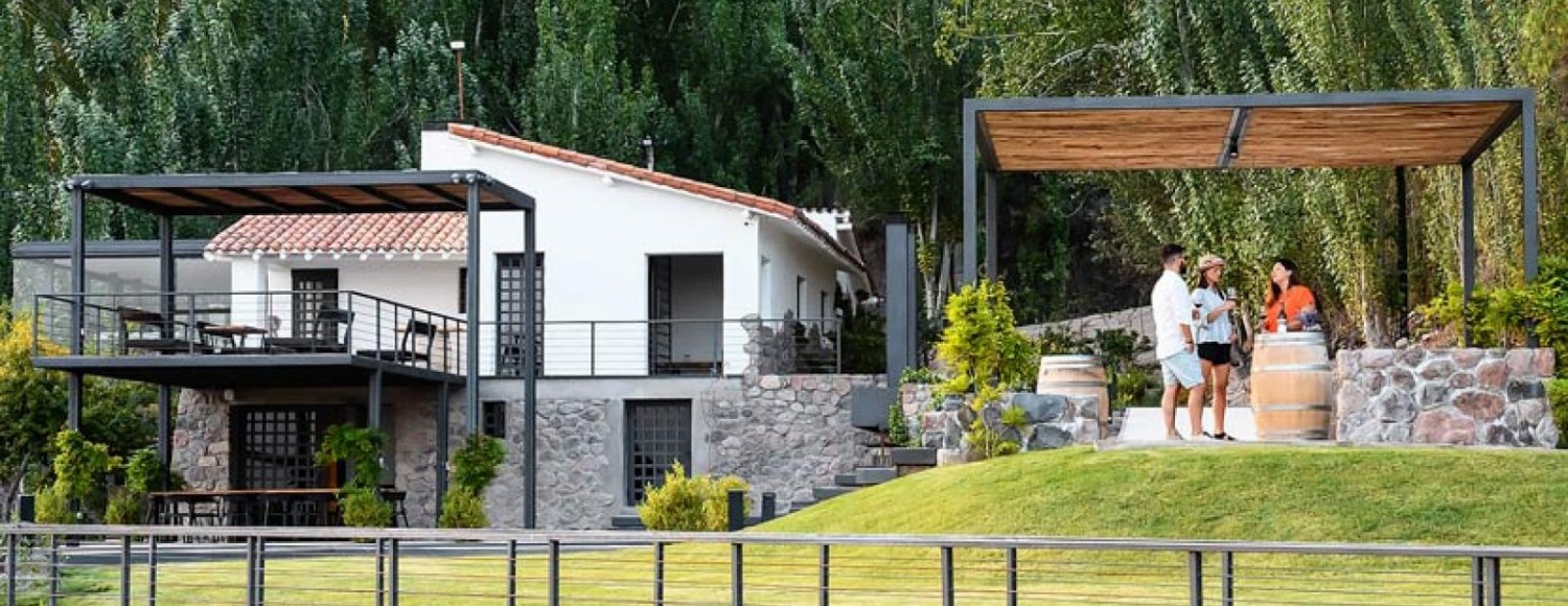 Pedaleando entre vinhedos