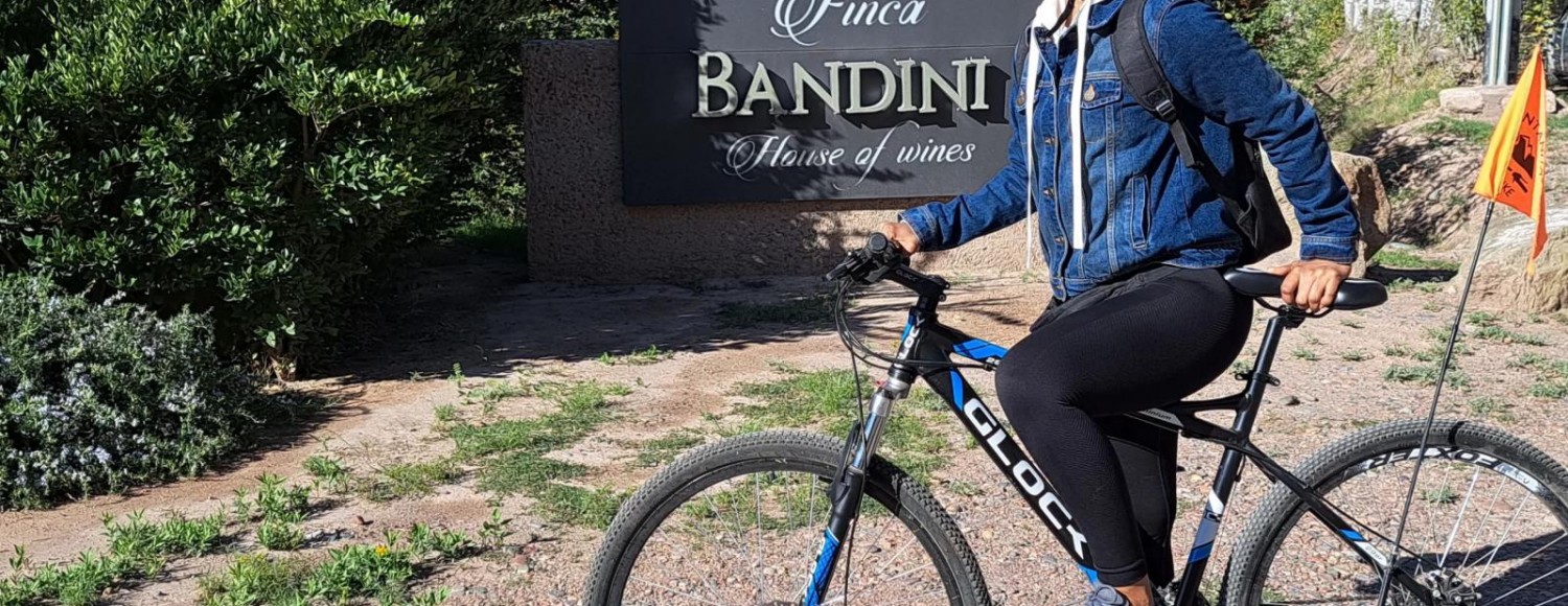 Pedaleando entre vinhedos