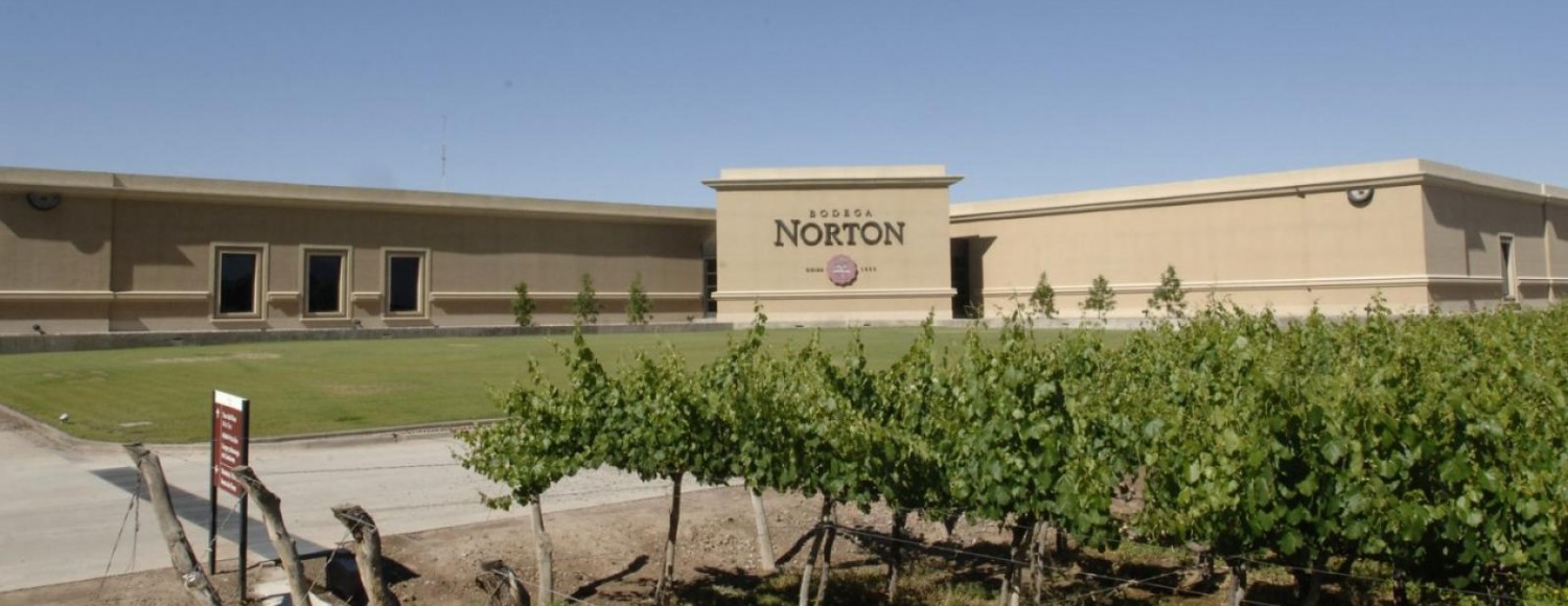 Pedaleando entre vinhedos