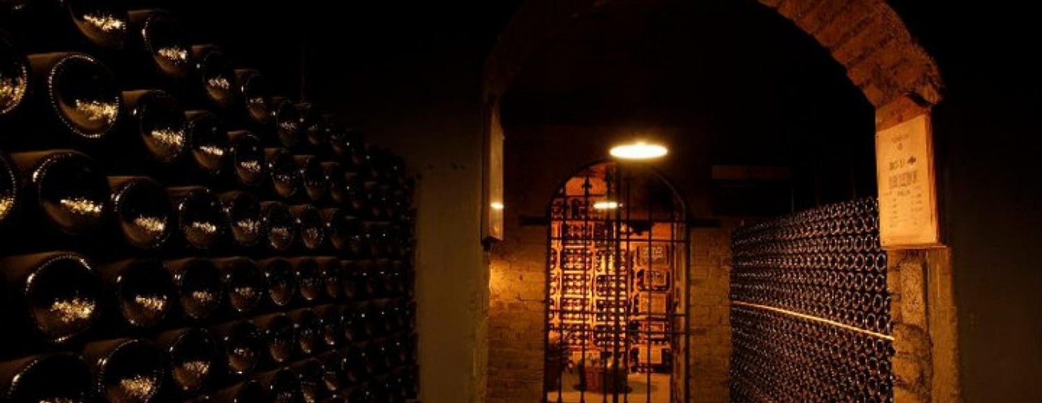 Pedaleando entre vinhedos