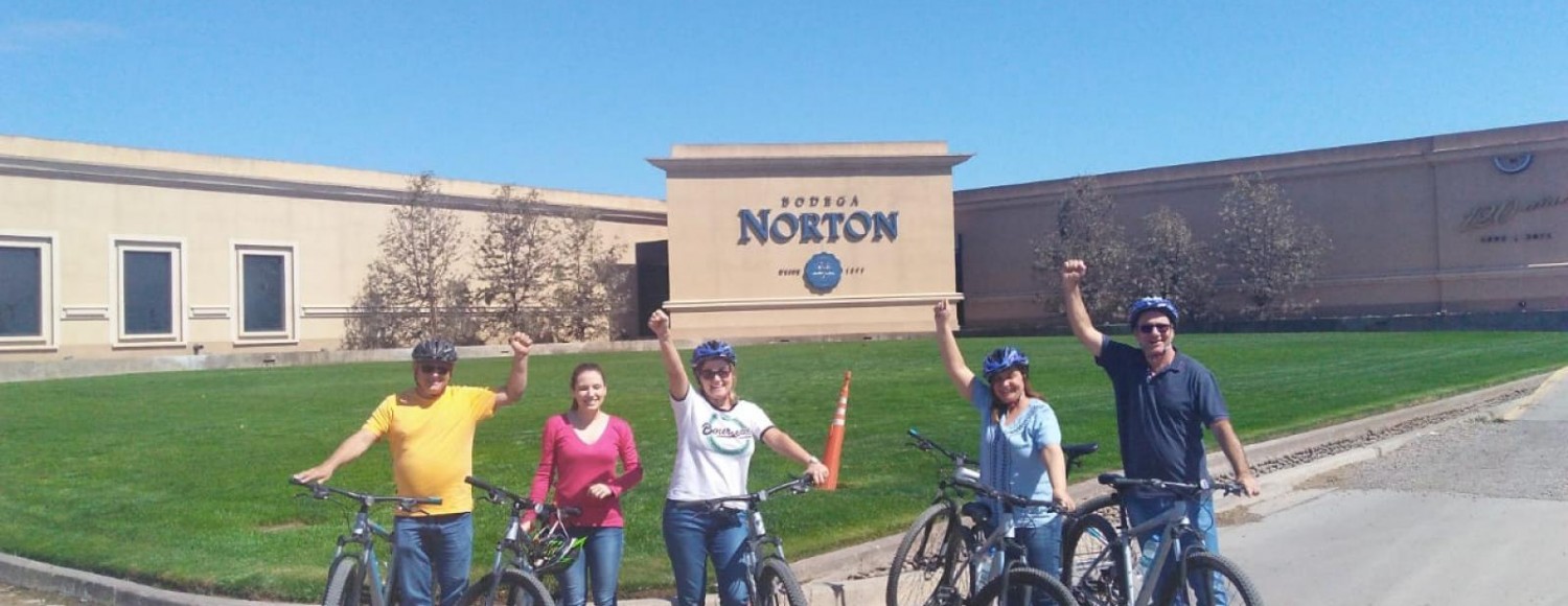 Pedaleando entre vinhedos