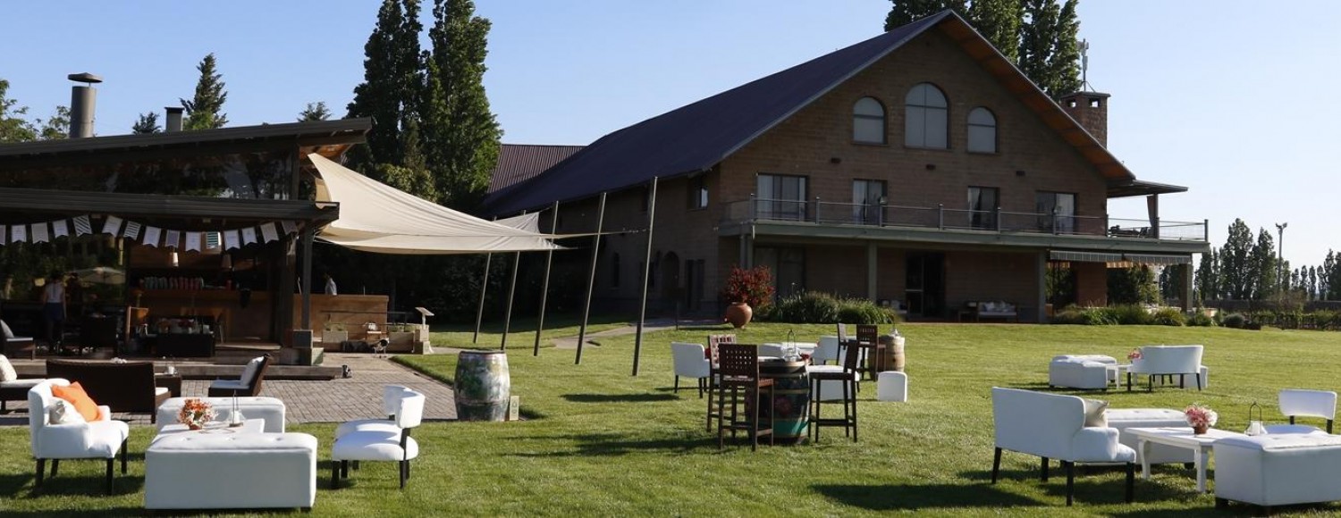 Pedaleando entre vinhedos