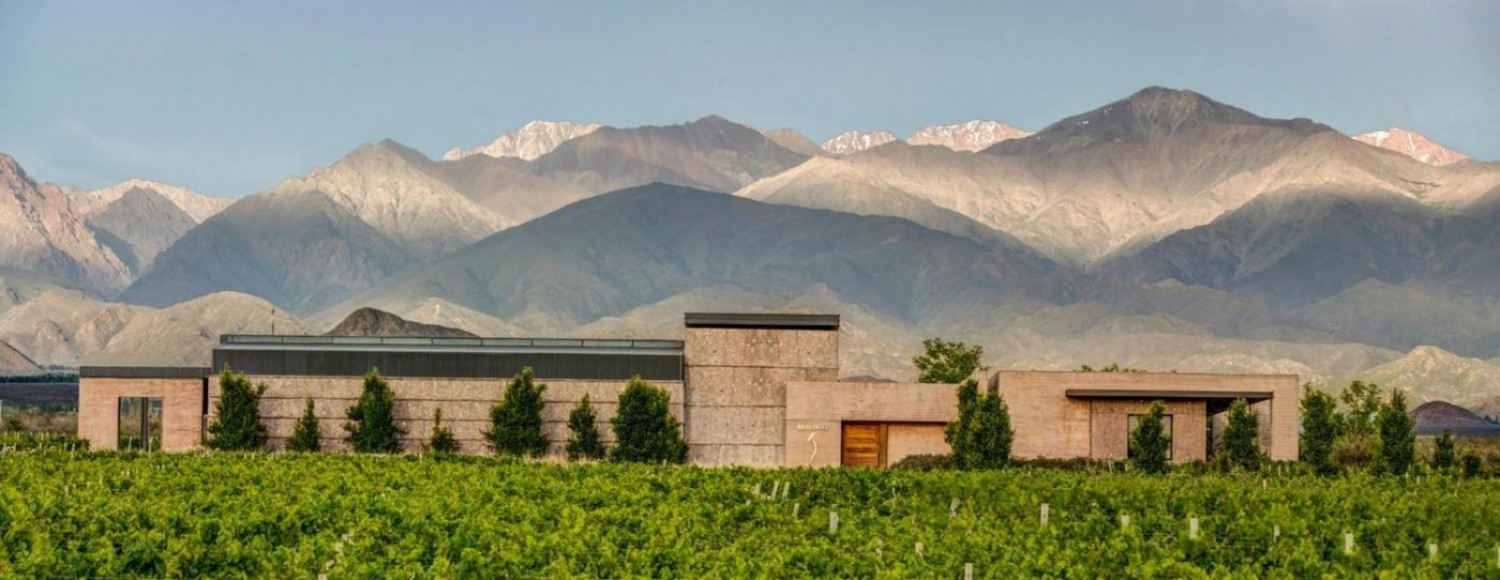 Experiência The Vines