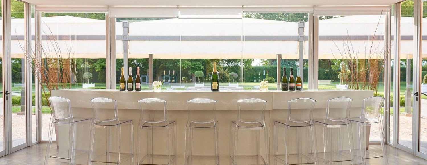 Espumante, Vinhos e Azeites