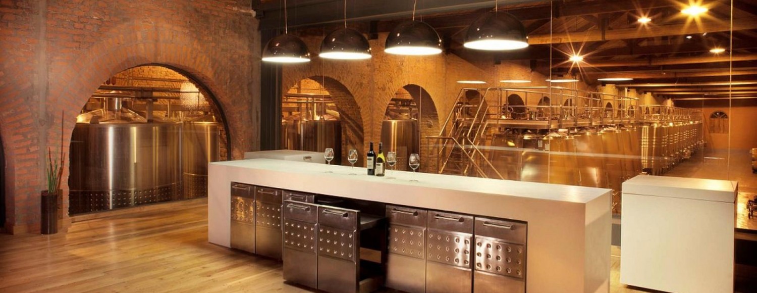 Espumante, Vinhos e Azeites