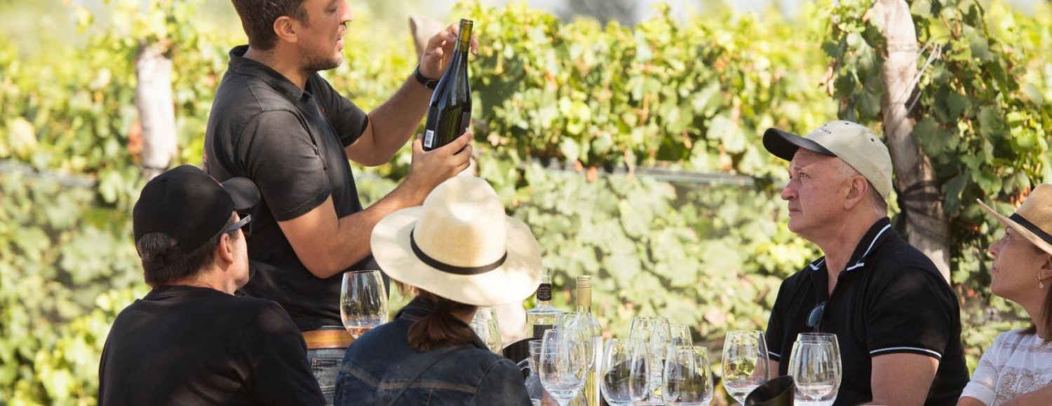 Sabores com Estrelas – Especial Michelin