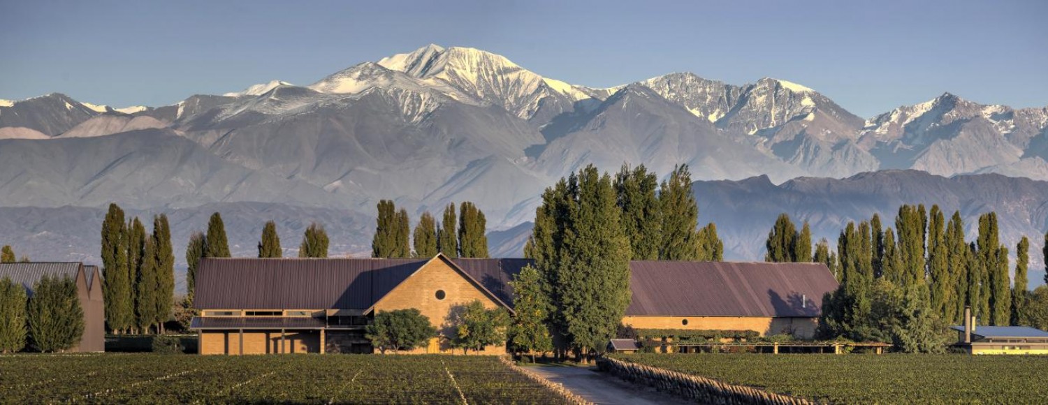 Sabores com Estrelas – Especial Michelin