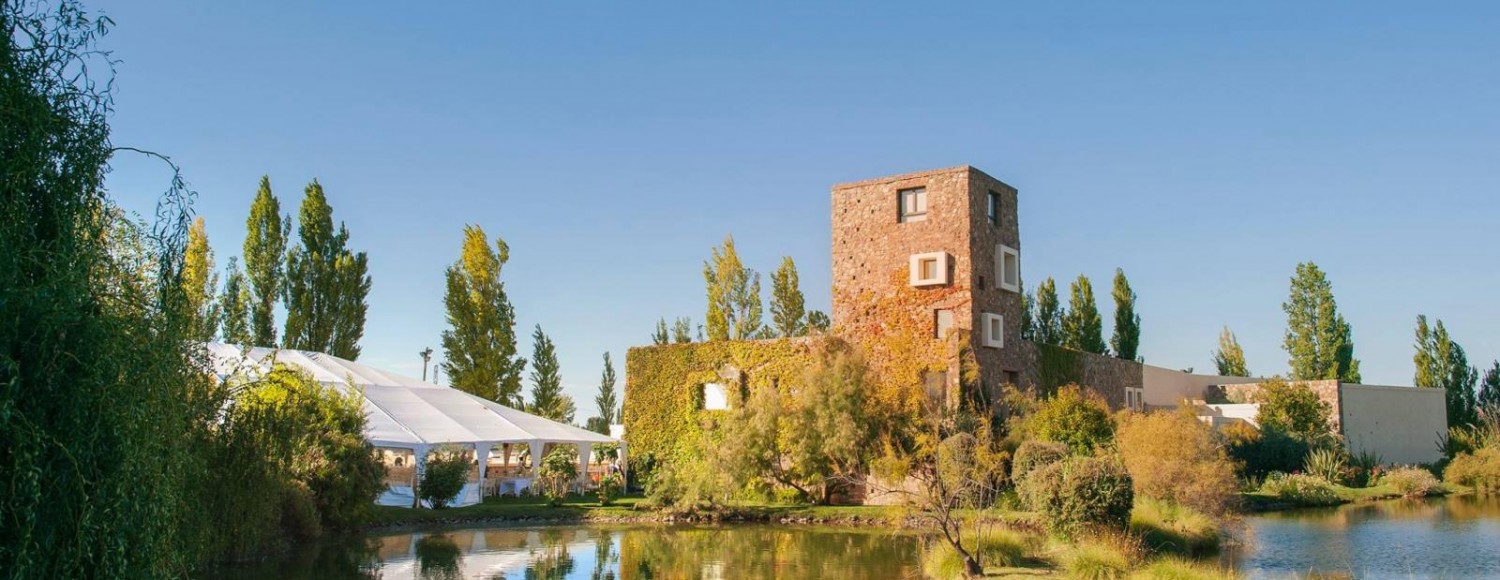 Sabores com Estrelas – Especial Michelin